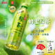 香港道地蜂蜜绿茶茶饮料纯茶冲泡茶500ml 15瓶整箱囤货低糖茶饮料