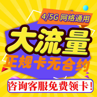 流量卡纯流量上网卡无线流量卡手机电话卡5g校园大王卡4g全国通用