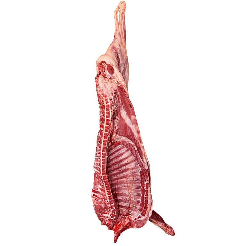 宁夏滩羊肉半只羊整只羊新鲜烧烤滩羊腿蝎子羊排非盐池新疆内蒙古