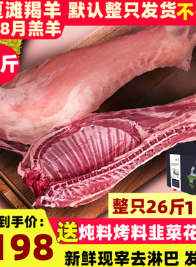 宁夏滩羊肉整只半只新鲜清真羔羊烤全羊30斤非新疆盐池内蒙古滩羊