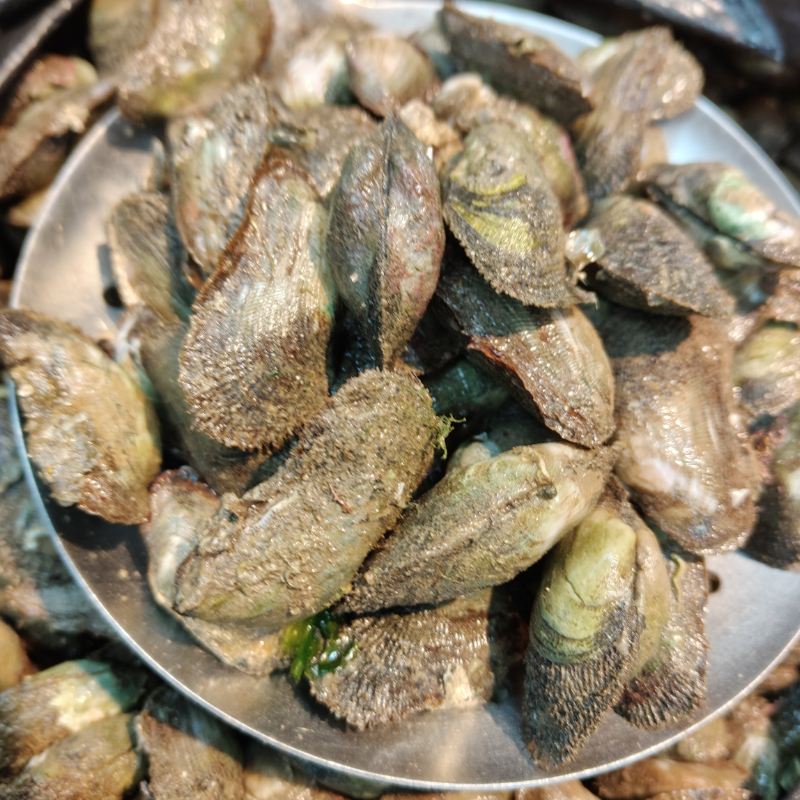 鲜活生青壳500g台州美食小海鲜