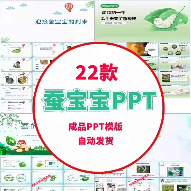 中小学生蚕宝宝的成长经历PPT蚕宝宝生长变化蚕的知识科普成品PPT