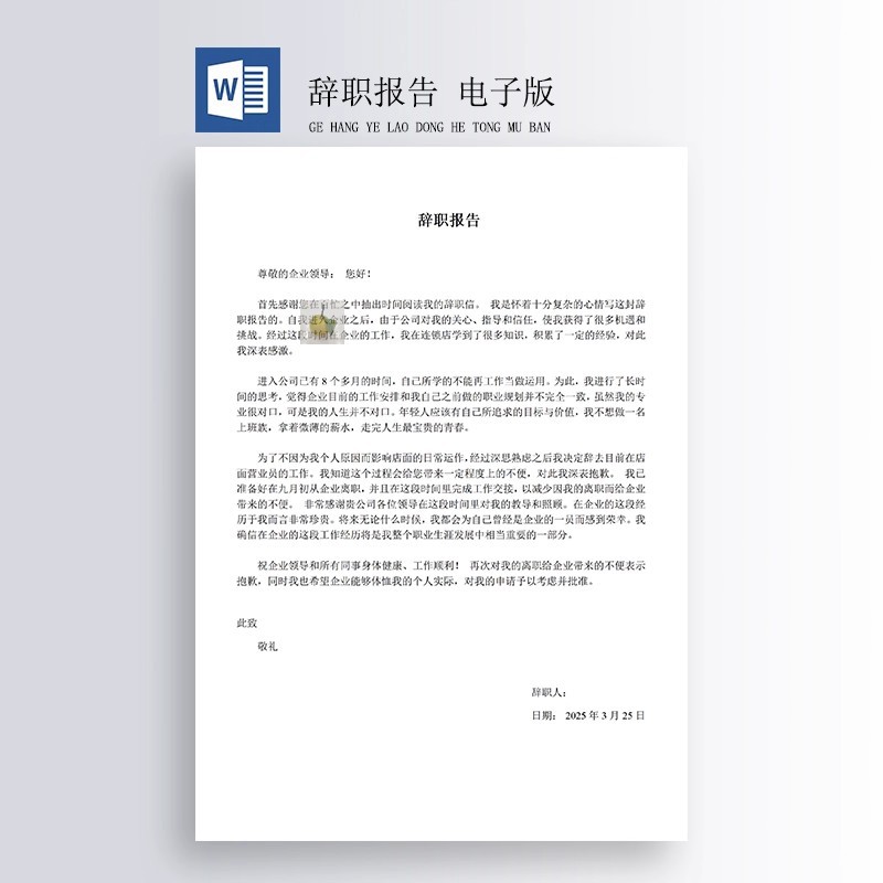 离职辞职报告 辞职申请报告 格式：word文档 需要自己打印