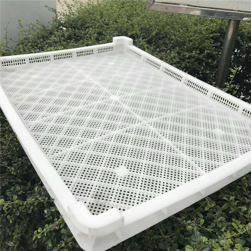 枸杞晾晒筐茶叶烘干托盘冷冻盘速冻框海参晾晒筛塑料单冻器烘干盘