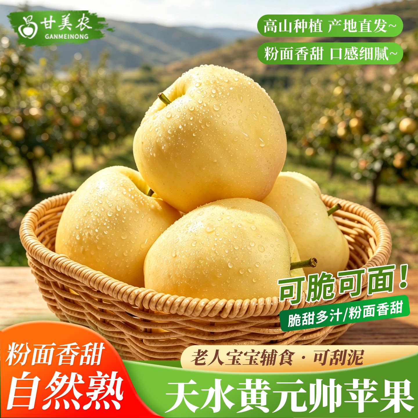 甘肃天水黄元帅苹果粉面刮泥果