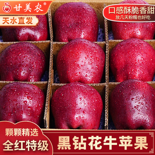 甘美农正宗天水花牛苹果应季蛇红果新鲜脆甜粉面老人孕妇水果礼盒