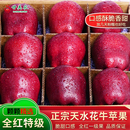 甘美农正宗天水花牛苹果应季 蛇红果新鲜脆甜粉面老人孕妇水果礼盒