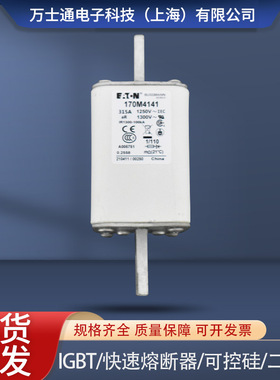熔断器170M4138/4139/4140/4141/4142/414/4144/4145/4146/4147