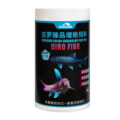 绘彩颗粒吉罗鱼曜色靓鳞