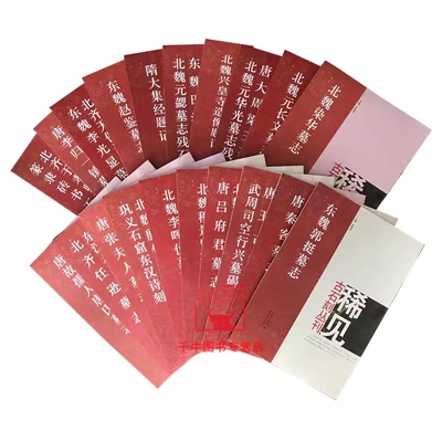 稀见古石刻丛刊全20册唐秦客墓志篆隶砖书五种唐李归一镇墓志北魏李晖仪墓志北魏兴皇寺造像题记东魏郭挺墓志隋大集经题记河南美术