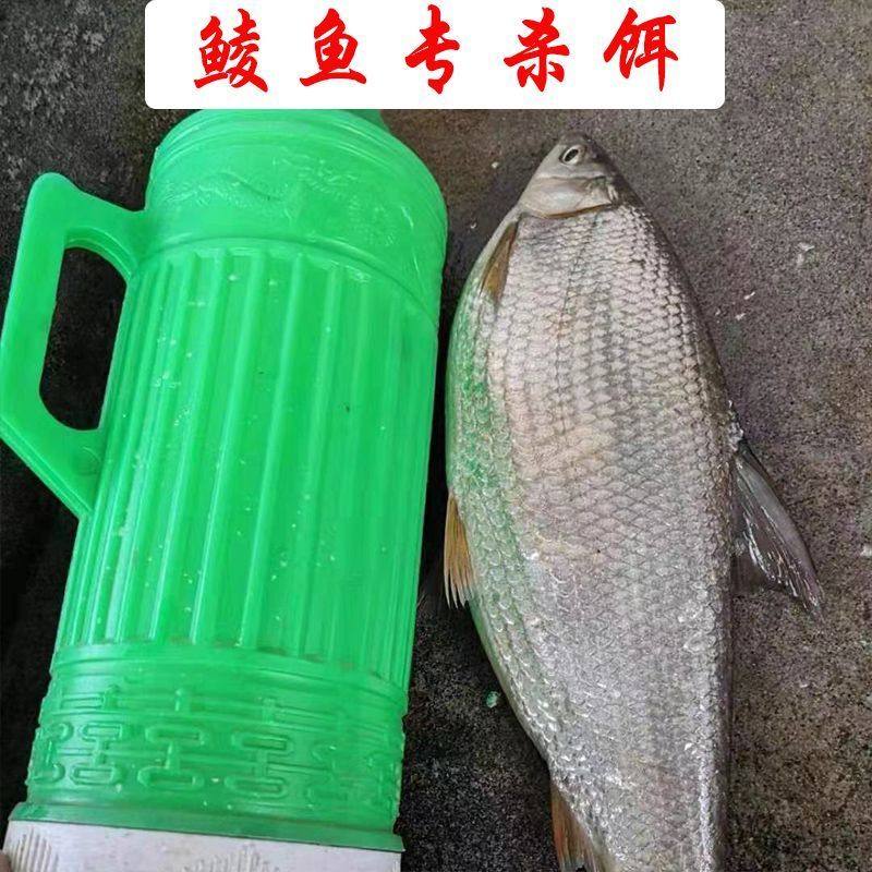 土鲮饵料广东野钓专攻麦鲮泰鲮鱼饵料湖库配方钓鱼饵鱼料鲮鱼饵料