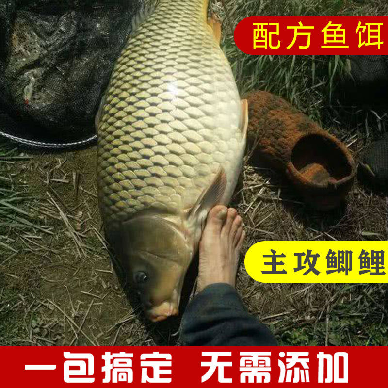 鱼饵野钓鲫鱼饵料黑坑南北通杀鱼食钓鱼用品装备不空军腥香鲫鱼饵
