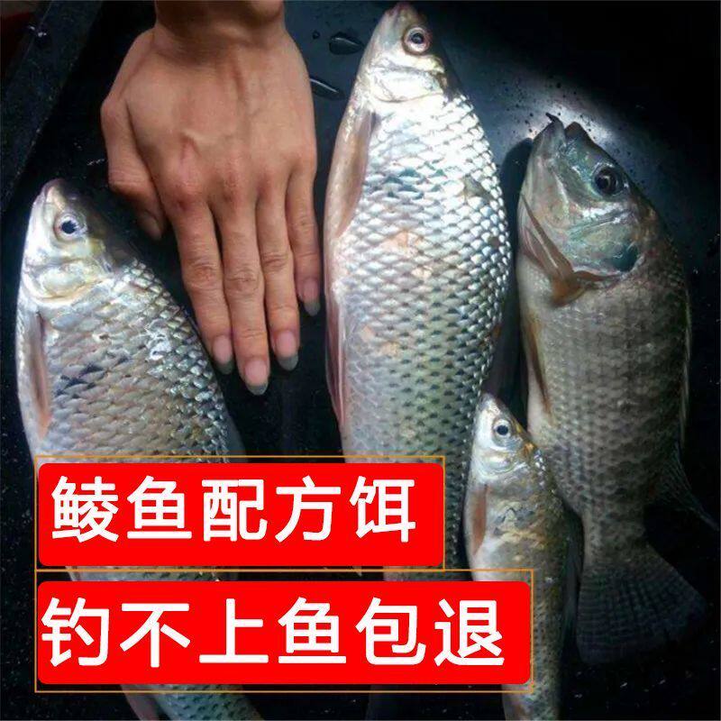 黑坑专攻土鲮鱼泰鲮红眼斩鲮鱼饵配方鲮鱼饵通杀饵鲮鱼野钓鱼饵料