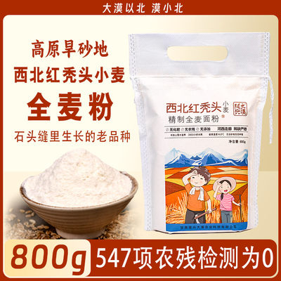 甘肃旱地老品种红秃头小麦全麦粉