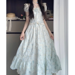 乐汀品牌专柜甜美温柔蓝色碎花连衣裙女夏学院风高级感刺绣公主裙