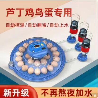 厂家直销小飞碟孵化器小型全自动孵蛋器家用芦丁小鸡鹦鹉鸟孵化箱
