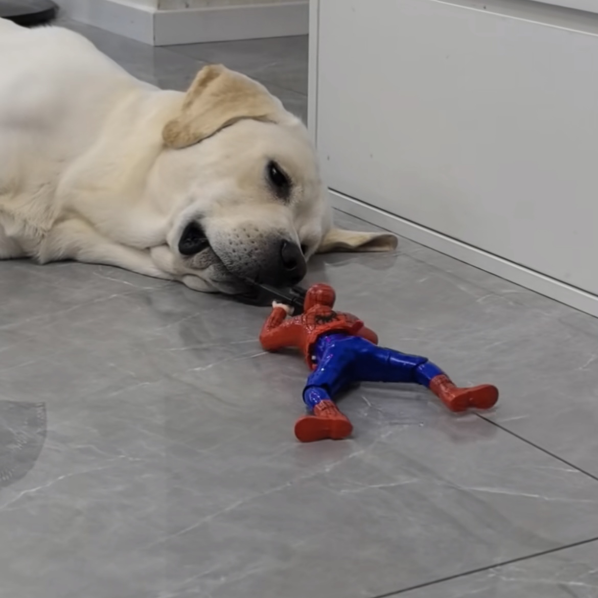 爬行兵蜘蛛侠爬行玩具电动士兵打枪战士军人迷彩兵逗猫咪神器儿童