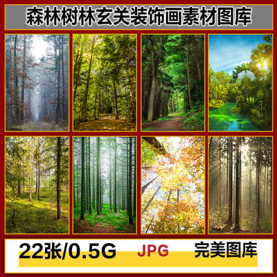 现代简约林荫阳光森林树林风景玄关装饰画高清图片图库设计素材