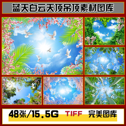 蓝天白云天空绿叶白鸽天顶吊顶天花板背景墙高清图片图库设计素材