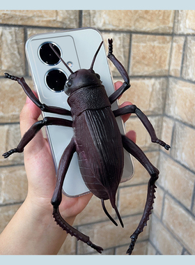 减压蟑螂适用vivoy500手机壳y50m搞怪y300pro+立体y200gt超大y100i奇葩y77e抽象y93s丑萌y85y97新款十vivo女p