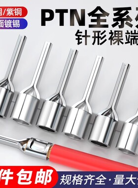 PTN1.25/2-13/5.5-18针形裸端头插针式接线端子黄铜/紫铜线鼻子