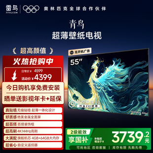 雷鸟青鸟55英寸无缝贴墙超薄一体化288Hz高刷电视机以旧换新补贴