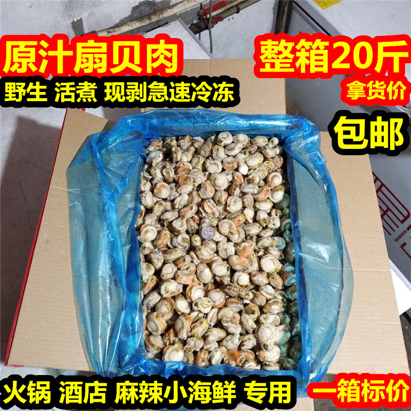新鲜扇贝肉鲜活冷冻带黄大扇贝肉麻辣小海鲜火锅食材60-80