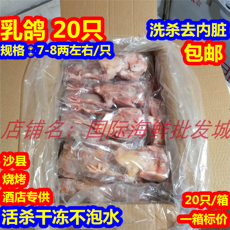 活鸽子现杀速冻脆皮乳鸽乳鸽生态乳鸽