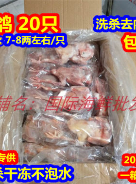 活鸽子现杀速冻脆皮乳鸽乳鸽生态鸽子沙县鸽子汤20只烧烤7/8