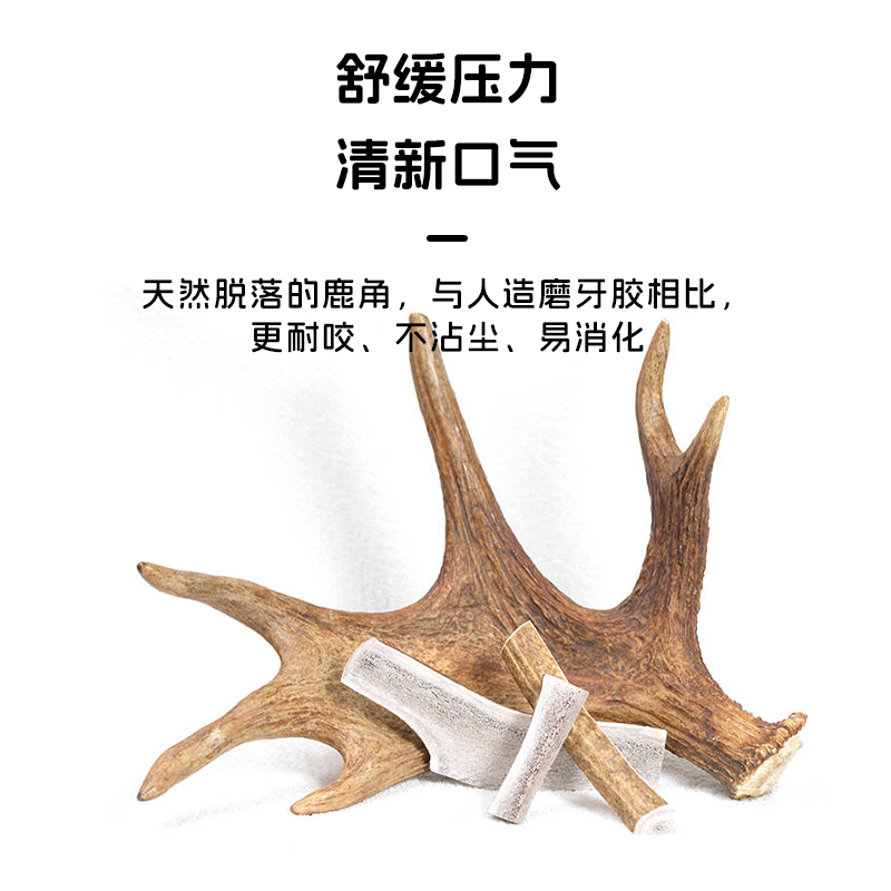 【臻鹿】鹿角 dear deer新西兰狗零食磨牙洁齿补血(5送1)