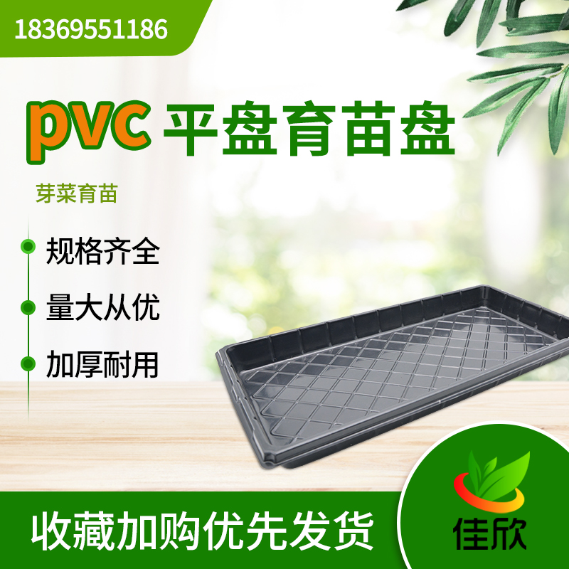 pvc育苗盘托盘平盘芽菜苗盘穴盘无孔托盘育苗盘配套托盘通用托盘