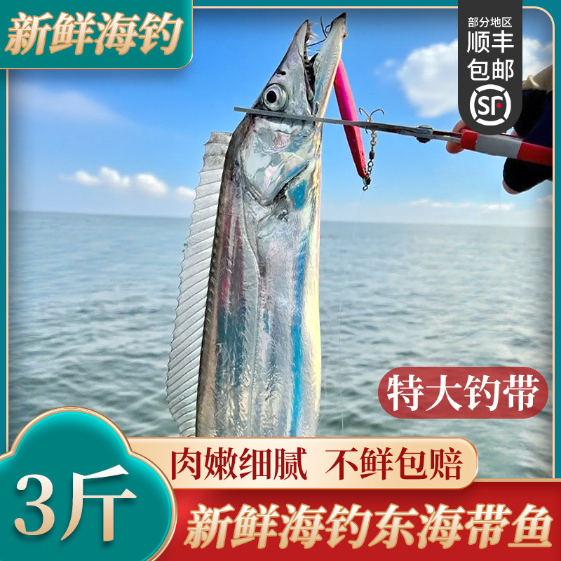 海钓新鲜带鱼舟山带鱼冷冻大刀鱼东海钓带鱼小油带鱼整条特级眼,水产肉类/新鲜蔬果/熟食,带鱼,淘宝优惠券,粉丝福利购,淘宝优惠卷
