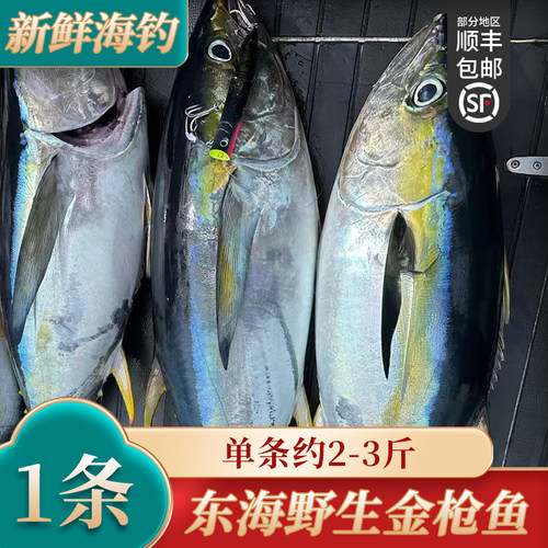 鲣鱼 整条2-3斤