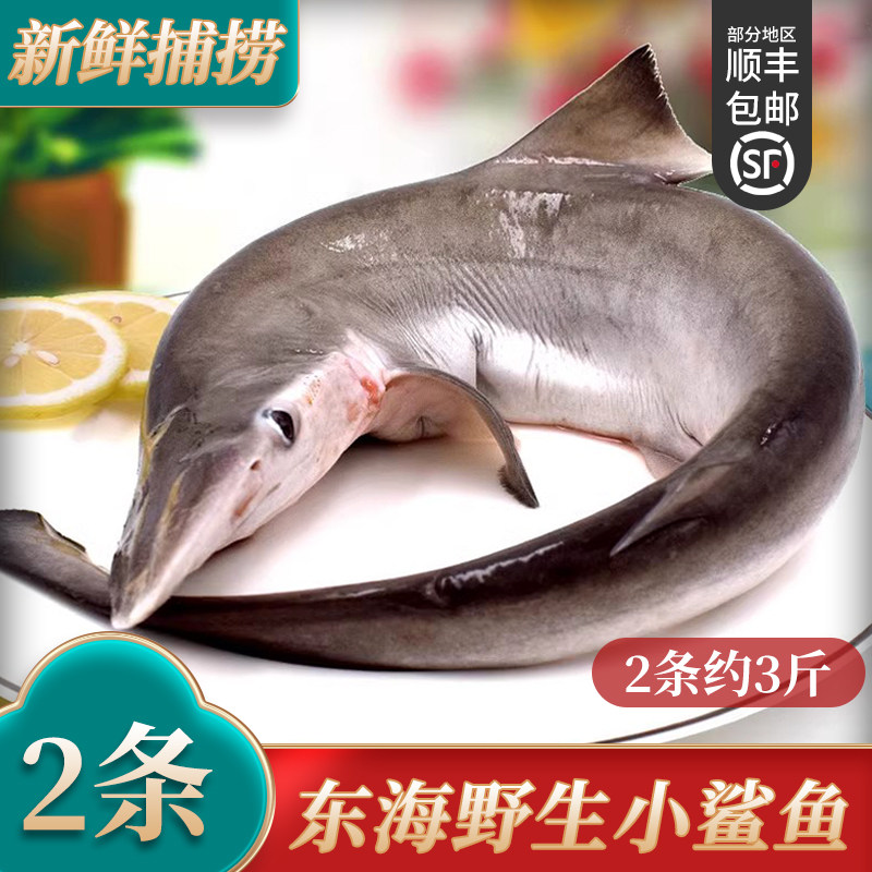 小鲨鱼新鲜冷冻深海捕捞鱼海鱼非白鲨鱼海鲜舟山水产鲨鱼肉2条3斤