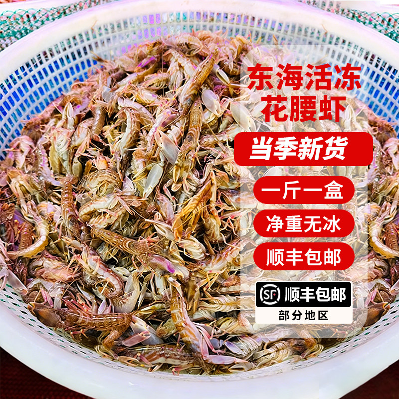 东海海捕鼓虾拉虚虾鲜活活冻夹板虾嘎巴虾狗虾小海虾花腰虾叮当虾