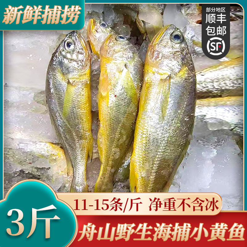 真舟山小黄鱼黄花鱼新鲜冷冻野生大海鱼鲜活水产烧烤商用东海海鲜,水产肉类/新鲜蔬果/熟食,黄鱼,淘宝优惠券,粉丝福利购,淘宝优惠卷