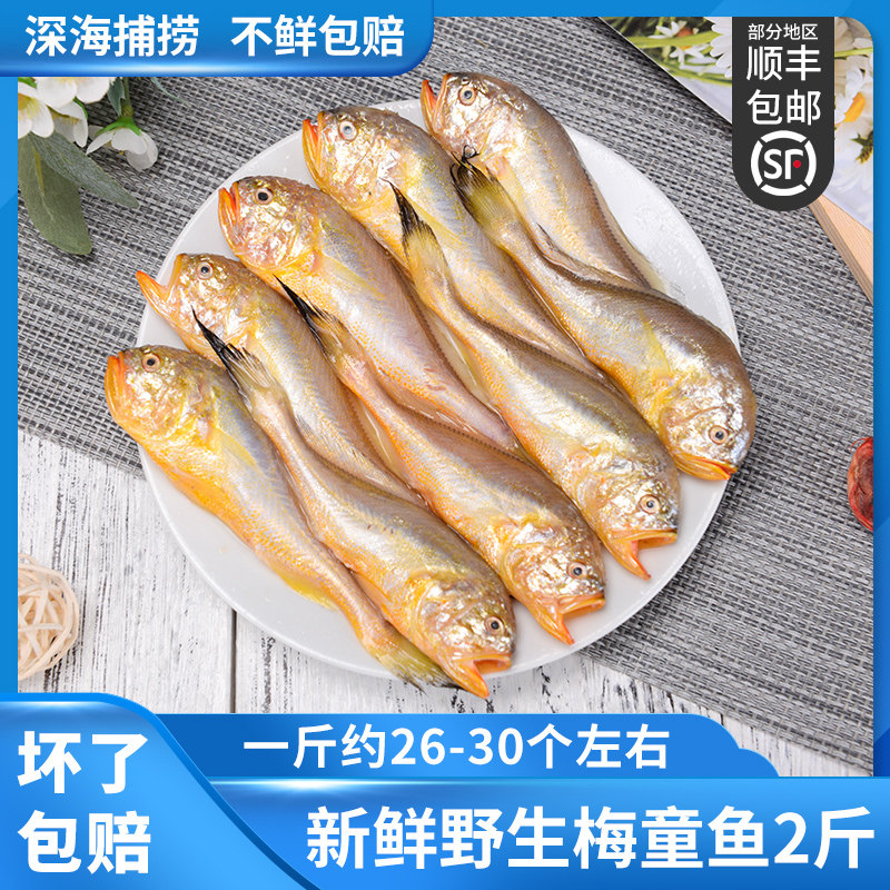 梅童鱼新鲜 舟山小梅子鱼细眼大头梅童鱼约 26多条/斤  速冻发,水产肉类/新鲜蔬果/熟食,其它,淘宝优惠券,粉丝福利购,淘宝优惠卷
