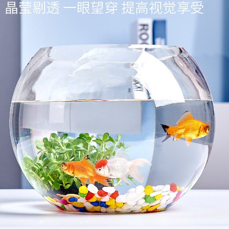 办公室小鱼缸加厚透明玻