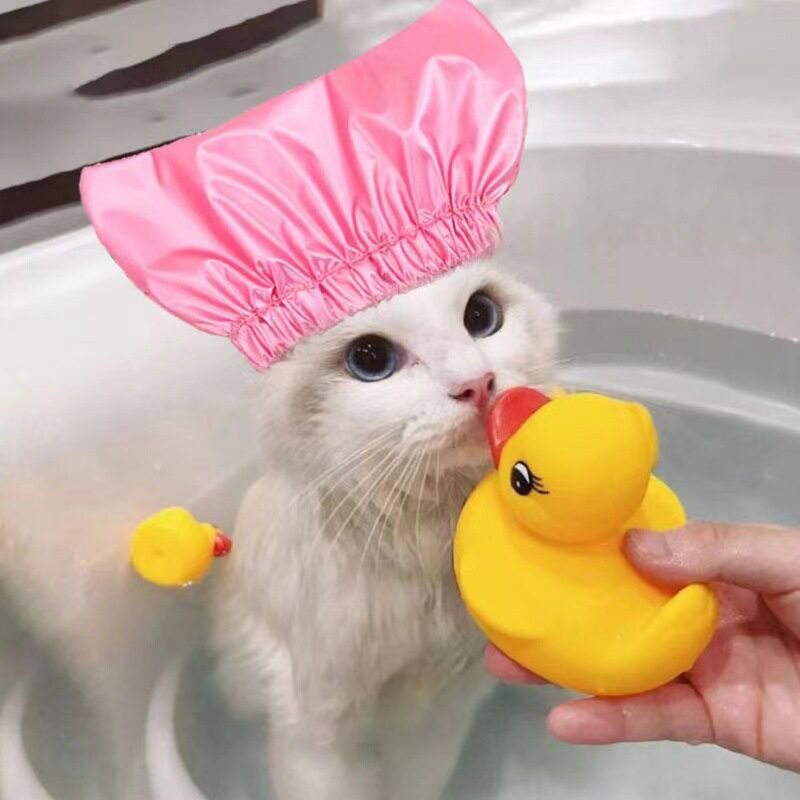 猫咪洗澡神器浴帽防水耳
