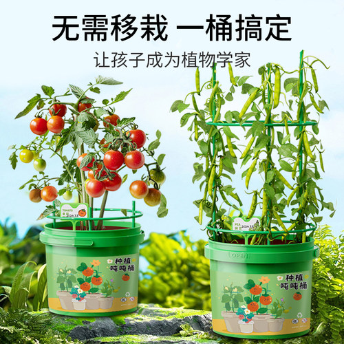 自然科学种植攀爬吨吨桶