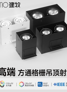 led方通射灯110V专用单头双头方形商用店铺铝方通吊顶格栅斗胆灯
