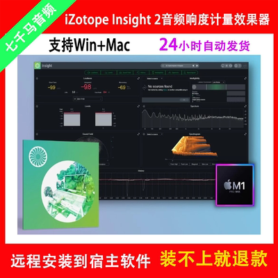 iZotope Insight 2音频响度计量频谱分析效果器后期制作监测插件