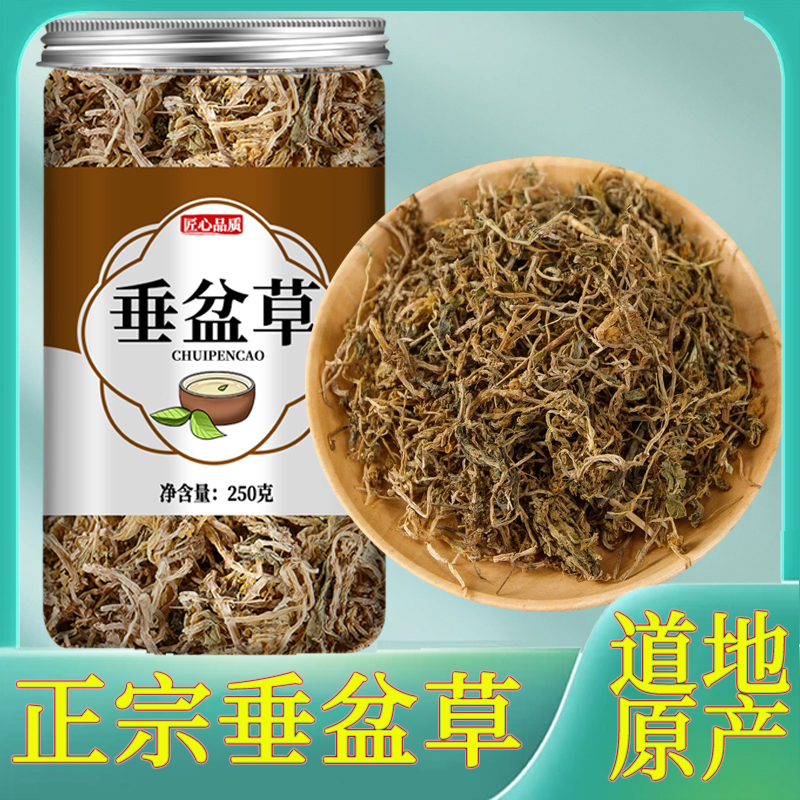 垂盆草中药材正品500g克