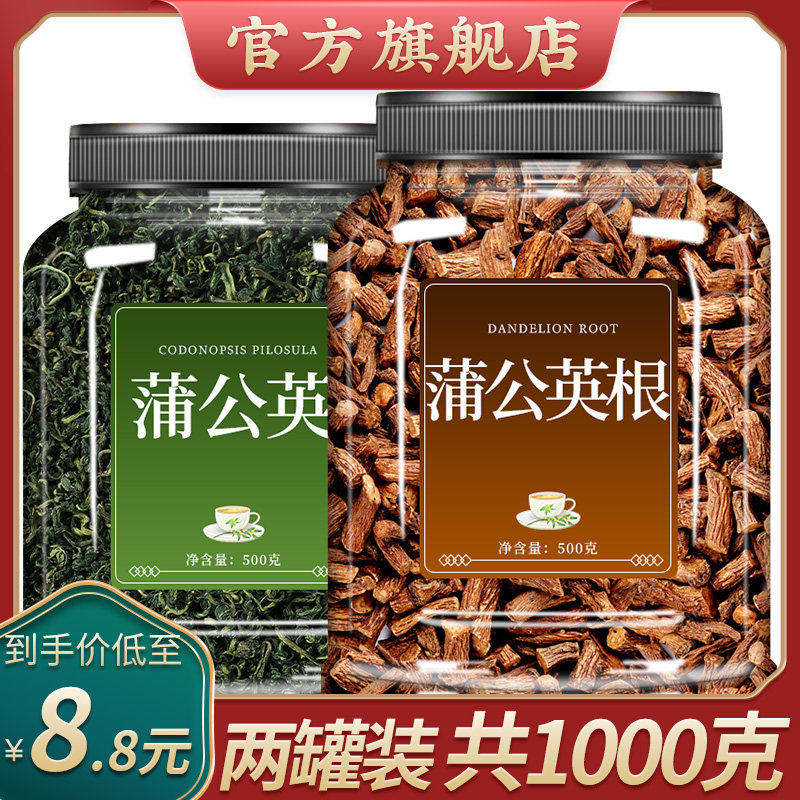 蒲公英根和叶正品非特级野生图片