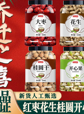 红枣桂圆花生开心果莲子乔迁之喜结婚用的枣早生贵子干果组合摆件