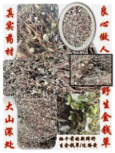 野生四川小叶金钱草过路黄晒干