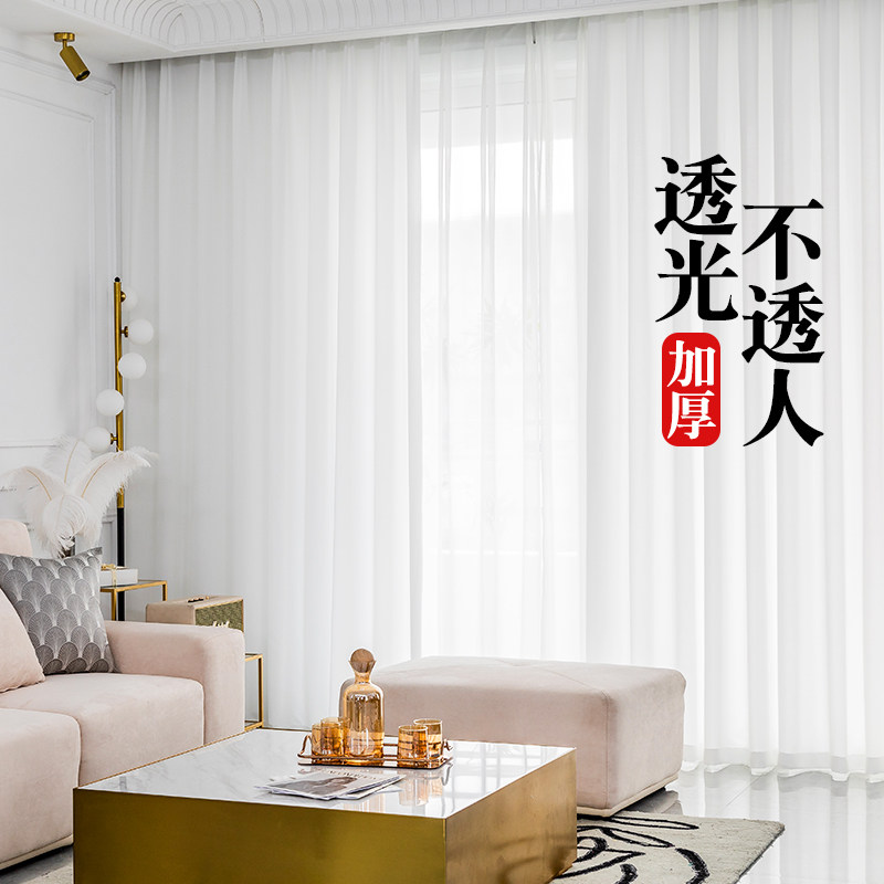 纱帘透光不透人窗纱客厅阳台半遮光沙飘窗北欧简约天丝绒白纱窗帘