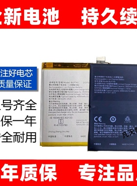 适用于 于OPPO真我Realme X2pro realmeX2手机BLP749 BLP741电池