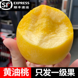 桃子新鲜黄桃蒙阴黄油桃黄金油桃时令应季当季水果整箱现摘脆桃