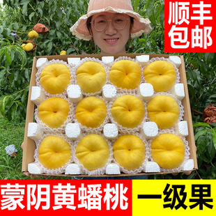 黄金蟠桃黄蟠桃新鲜水果时令整箱当季山东蒙阴黄桃脆甜毛桃扁潘桃